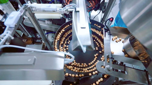 聚焦高质量发展 | 安徽无为 小坚果撬动绿色食品大产业